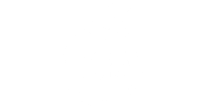 lsm_bijo_logo