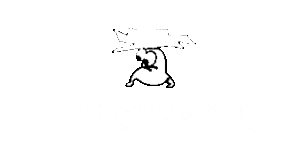 lsm_lado-rec_logo